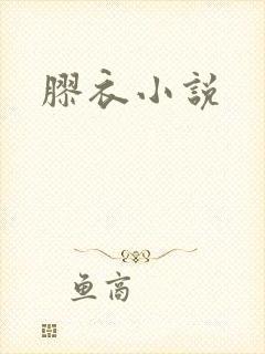 胶衣小说