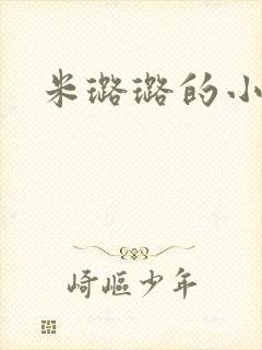 米璐璐的小说