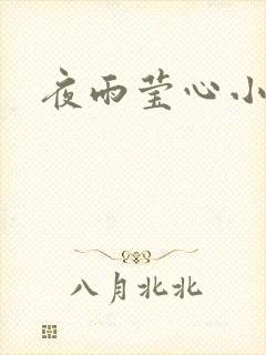 夜雨莹心小说