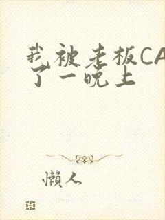 我被老板CAO了一晚上