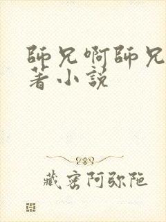 师兄啊师兄的原著小说