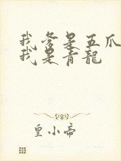 我爹是五爪金龙我是青龙