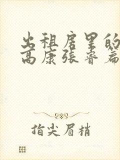 出租房里的交互高康张睿篇