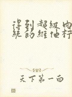 得到超级肉禽系统的维他柠檬茶