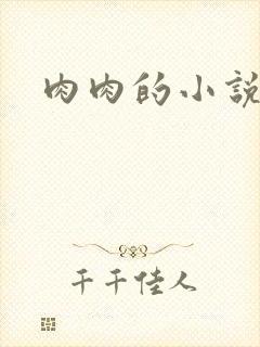 肉肉的小说