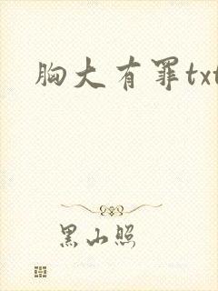 胸大有罪txt