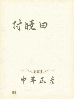 付晓田