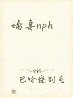 娇妻nph