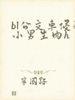 bl公交车侵犯小男生肉h