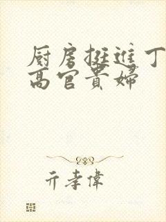 厨房挺进丁字裤高官贵妇