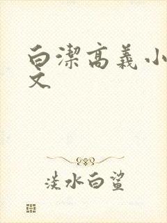 白洁高义小说全文