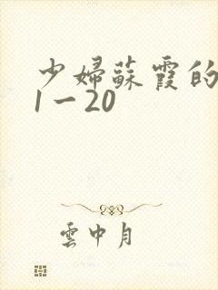 少妇苏霞的沉沦1一20