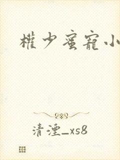 权少蜜宠小娇妻