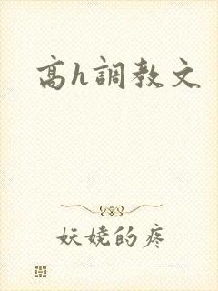 高h调教文