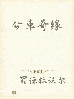 公车奇缘