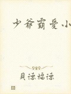 少爷霸爱小丫头