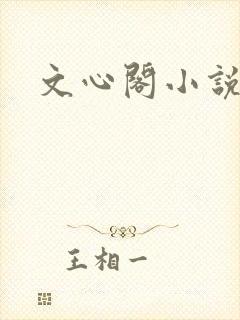 文心阁小说