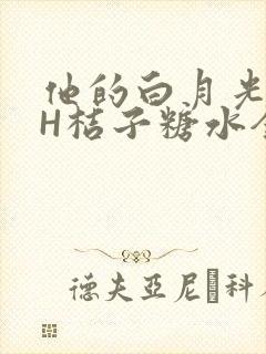 他的白月光HVH桔子糖水全文