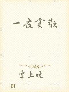一夜贪欢