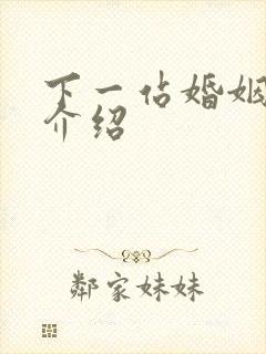 下一站婚姻剧情介绍