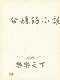公媳的小说