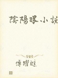 阴阳眼小说