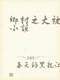 乡村之大被同眠小说