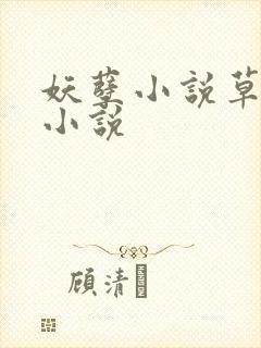 妖孽小说草莓酱小说