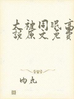 大被同眠高粱小说原文免费阅读