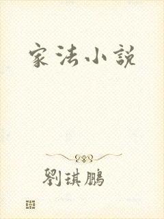 家法小说