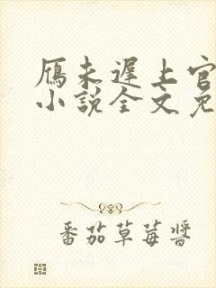 雁未迟上官穿越小说全文免费阅读