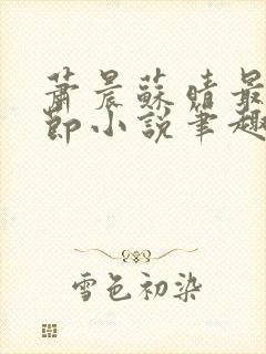 萧晨苏晴最新章节小说笔趣阁