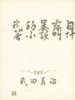 我的暴露日记原著小说叫什么