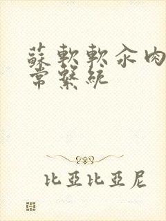 苏软软汆肉的日常系统