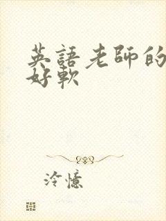 英语老师的兔子好软