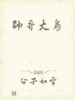 帅哥大鸟
