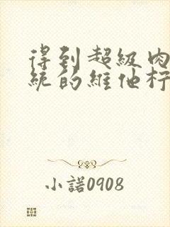 得到超级肉禽系统的维他柠檬茶