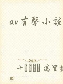 av有声小说