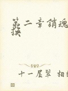 第二章销魂的交换