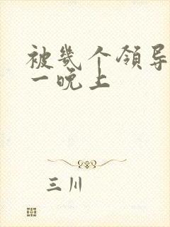 被几个领导玩弄一晚上