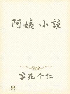 阿姨 小说