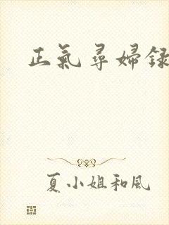 正气寻妇录