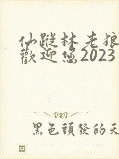 仙踪林老狼入口欢迎您2023