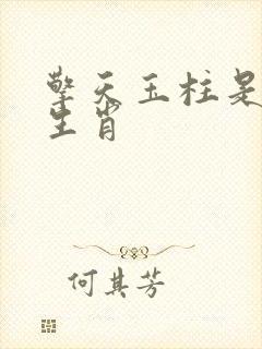 擎天玉柱是什么生肖