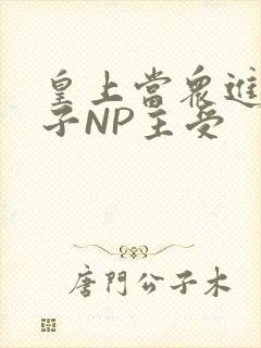 皇上当众进入太子NP主受