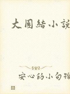 大团结小说阅读