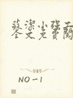 苏洁小强工地情全文免费阅读