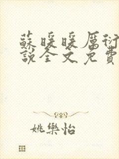 苏暖暖厉衍琛小说全文免费阅读