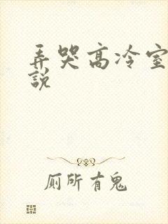 弄哭高冷室友小说