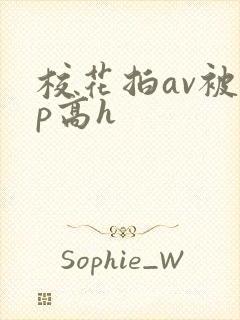 校花拍av被np高h